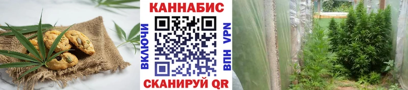Cannafood конопля Камышин