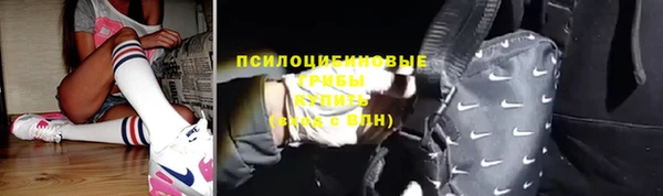 эйфоретик Алзамай