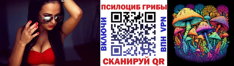Псилоцибиновые грибы мицелий  где продают наркотики  Камышин 