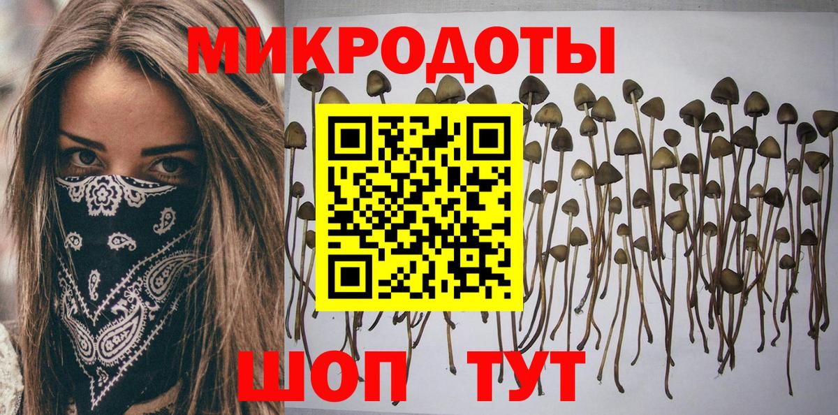 Псилоцибиновые грибы GOLDEN TEACHER Камышин
