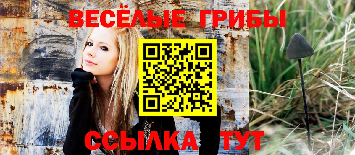 дарнет шоп  Псилоцибиновые грибы мухоморы  Вход с VPN  Псилоцибиновые грибы мицелий  Камышин 